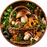 BNNViaW7O84-channel-avatar-Pilz Rezepte