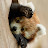 @이코크