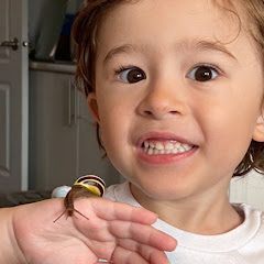 Mason's Wild Adventures