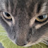 Sn1WSxztXTQ-channel-avatar-thinkchai