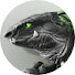 WGXRwk9P0vU-channel-avatar-BLEE3D EXTRAS