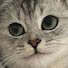 E3fO2LFF-Mo-channel-avatar-츄르희