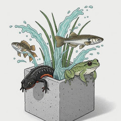 500万で買った家