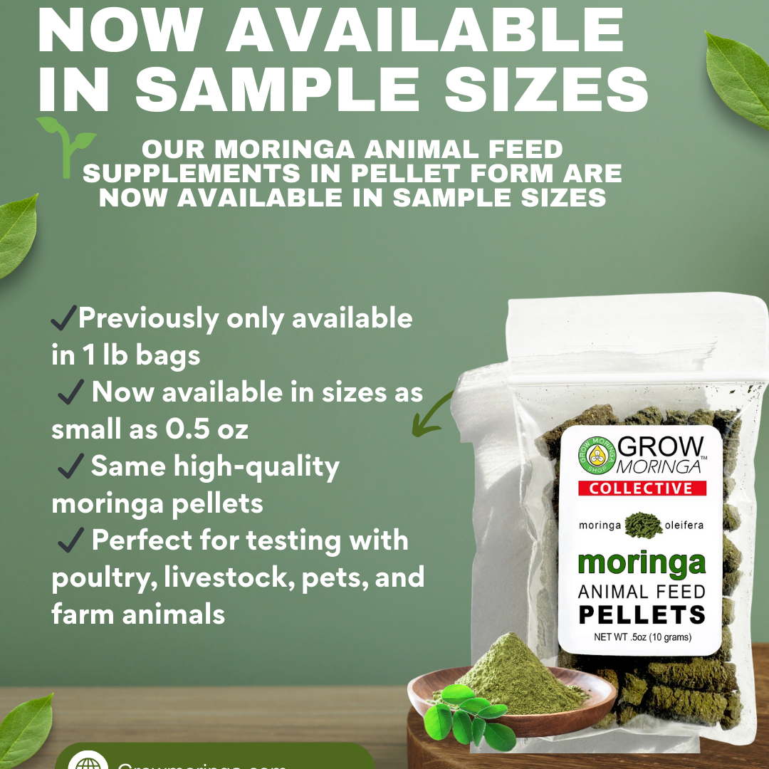 Post from Grow Moringa