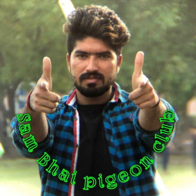 Sam Bhai pigeon club