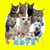 和菓子ねこ・いぬch