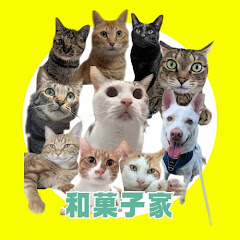 和菓子ねこ・いぬch