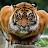 @r2021-g6b's avatar