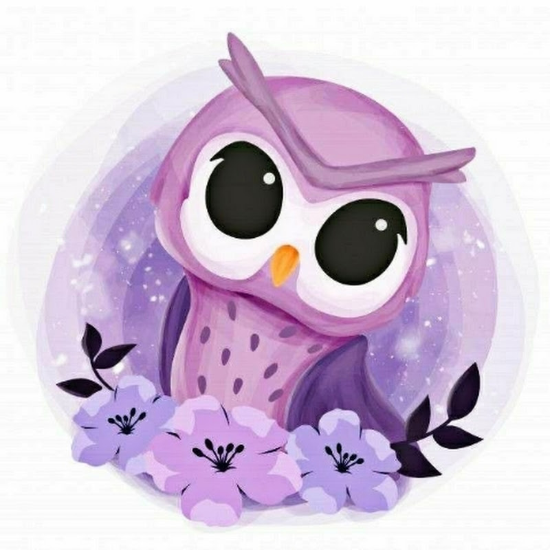 جوري 🦉🔹