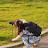 @ssim-story8402