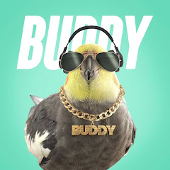 Buddy The Birdy Avatar
