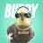 Buddy The Birdy