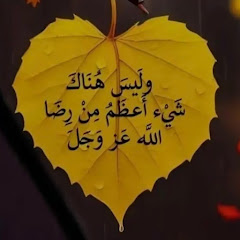 MAHMOUD Haboub avatar