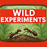 jnf0xA6k0f4-channel-avatar-Wild Experiments