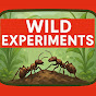 Wild Experiments Avatar