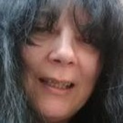 SAMFU - Sun And Moon Family United Avatar