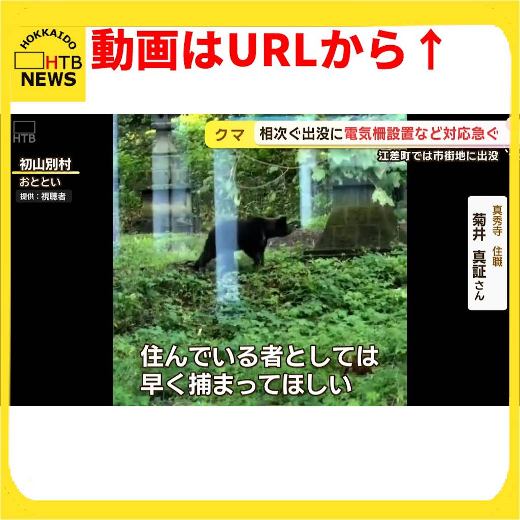 【クマシー@断捨離中 値下げ交渉歓迎】 YouTube