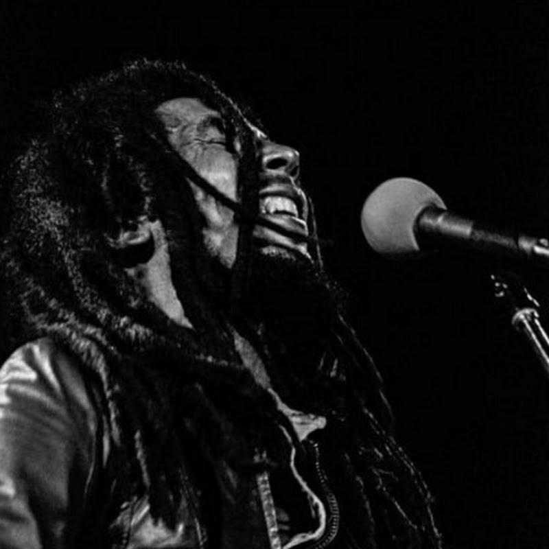 ZAIDINREGGAE