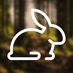 Down the Rabbit Trail
