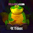 sF88YElV8jo-channel-avatar-MondoLens
