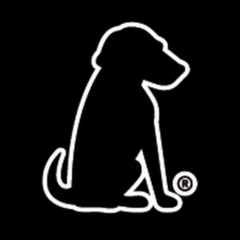 BlackDog Advertising 