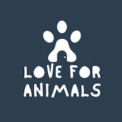 Love For Animals