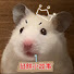 V4_yXPJ9b6E-channel-avatar-鼠餅小故事