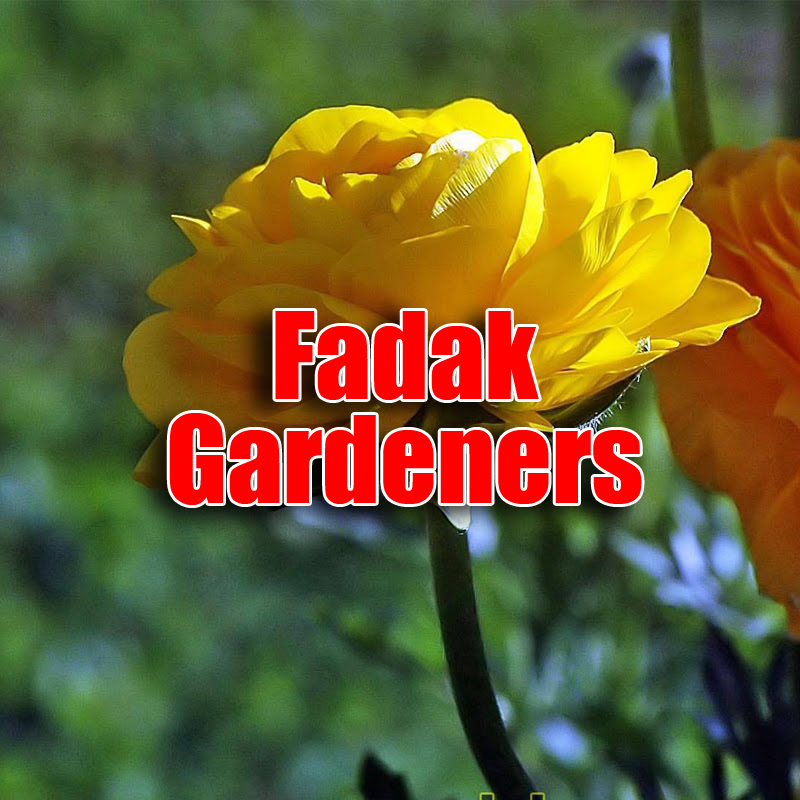 Fadak Gardeners