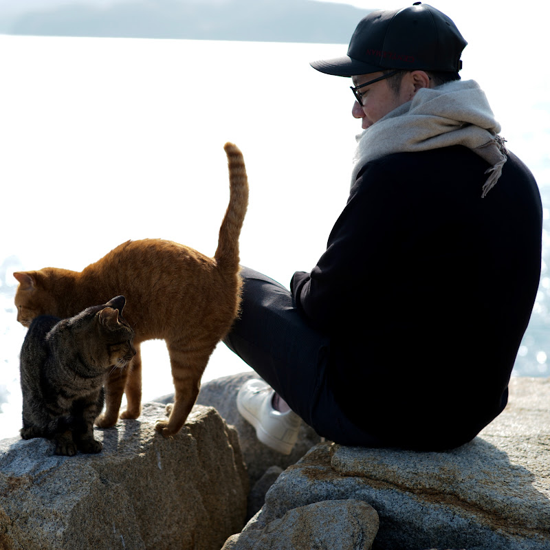 貓五郎Neko Goro Logo