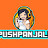 @pushpanjalisinghsingh0101