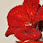 @flowy56583's avatar