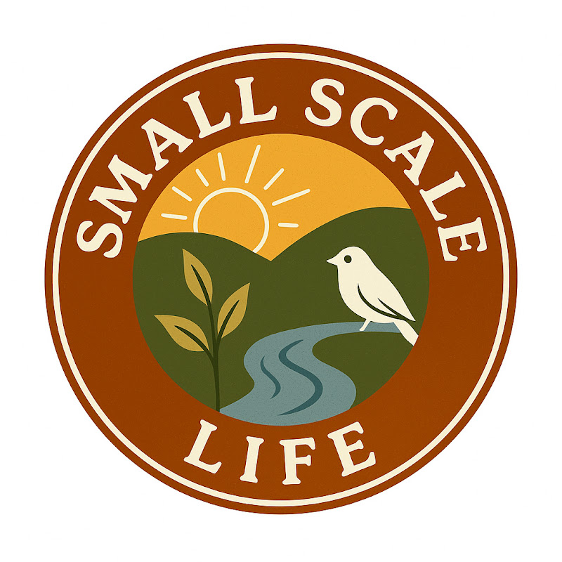 Small Scale Life