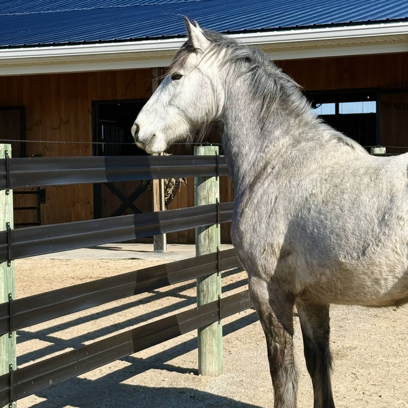 Post from Free Spirit Equestrian