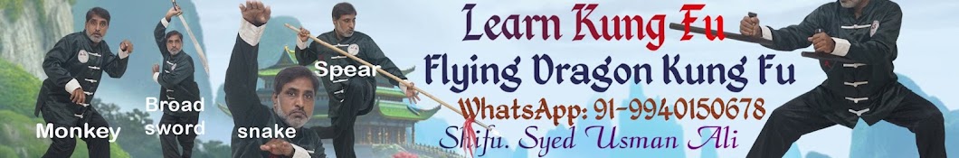 Flying Dragon Kung Fu YouTube channel avatar
