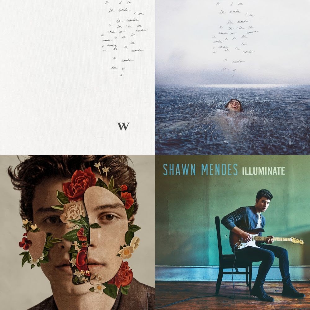 Shawn Mendes All Songs Playlist