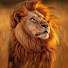 FnGPeCL6uJ0-channel-avatar-Novelas Jo