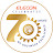 Elecon Engineering Co Ltd