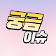 궁금이슈