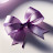 zny's ribbon