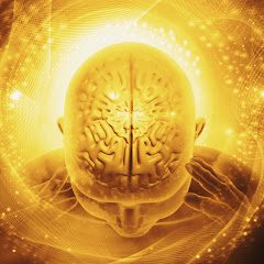 Circle of Attraction avatar