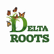 Delta Roots