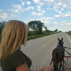 Tales of an Amish Taxi Driver - Haley Straw