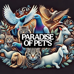 PARADISE OF PET'S 