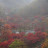 @삐삐박사