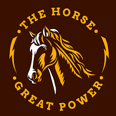 Sport Horses