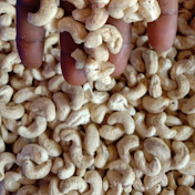 Panruti Jackfruit and cashews