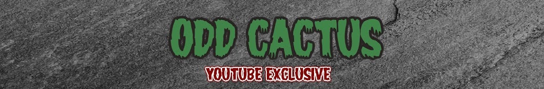 Odd Cactus Avatar canale YouTube 