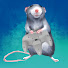 nijJgBMMons-channel-avatar-Rat Kingdom