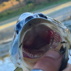 TopwaterTyler Fishing