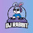 DJ Rabbit